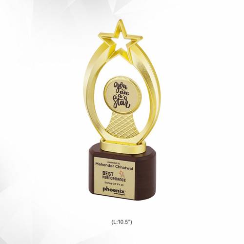 Acrylic Trophy Brown And Golden Star Shape With Printed Design For Office Awards 3926 Manufacturers in Delhi