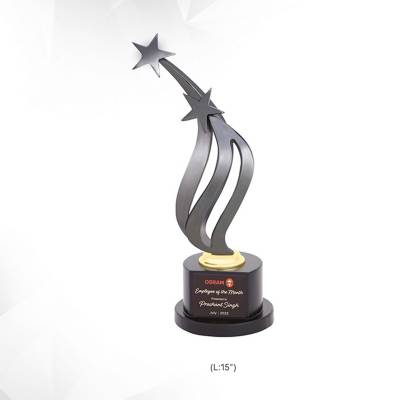 Black Metal Star Trophies For Trophies And Recognition 3934 Manufacturers in Ghaziabad