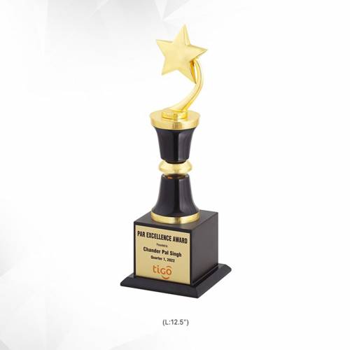 Brass Star Trophy Golden Star Shape For College Awards And Recognition 3930 Manufacturers in Delhi