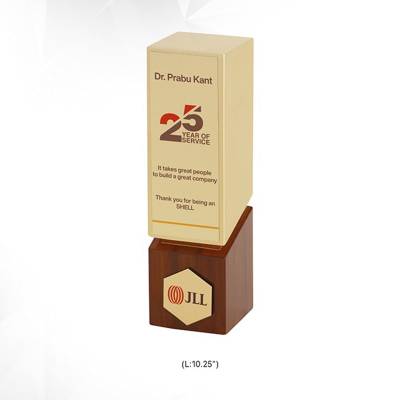 Brown Designer Wooden Trophy Rectangular Shape for Awards 3725 Manufacturers in Ghaziabad
