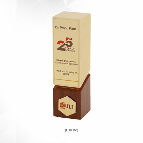 Brown Designer Wooden Trophy Rectangular Shape for Awards 3725 Manufacturers in Delhi