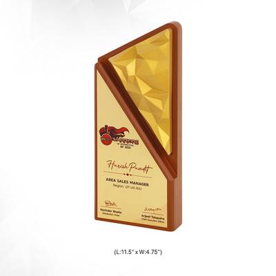 Brown Wooden Memento Trophy Rectangular Printed for Award Presentations 3733 Manufacturers in Ghaziabad