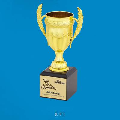 Champion Awards Trophy Golden Rectangular Shape Brass Zinc Alloy And Bronze 3850 Manufacturers in Ghaziabad