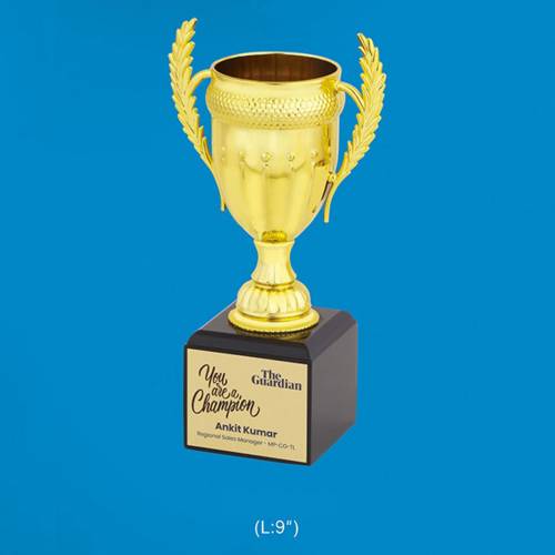 Champion Awards Trophy Golden Rectangular Shape Brass Zinc Alloy And Bronze 3850 Manufacturers in Delhi