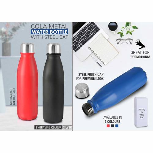 Cola Metal Water Bottle With Steel Cap Manufacturers in Delhi