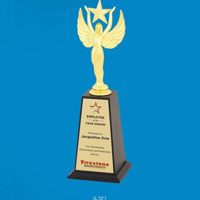 Firestone Trophy Award Golden Metal With Printed Design For Award Ceremonies 3867 Manufacturers in Ghaziabad
