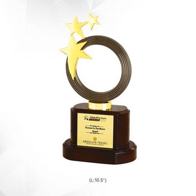 Golden Brass Star Award Height Star Shape With Printed Pattern For Corporate Recognition 3936 Manufacturers in Ghaziabad