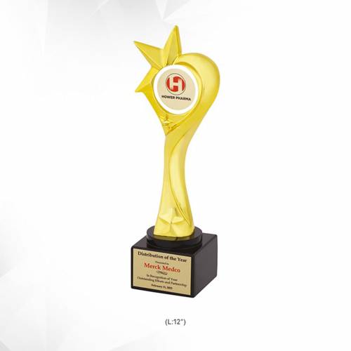 Golden Star Trophy Brass With Square Base Star Shape For Trophies And Corporate Recognition 3931 Manufacturers in Delhi
