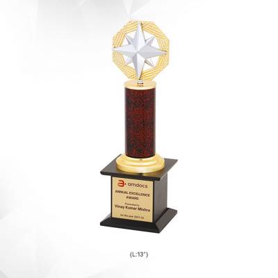 High Quality 10 Inch Metal Award Trophies Golden And Brown Round Shape With Printed Design For Trophies 3933 Manufacturers in Ghaziabad