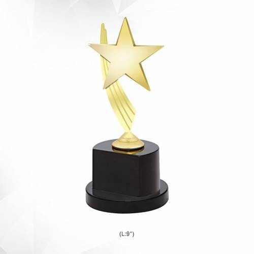 Metal Star Award Trophy Golden Star Shape With Printed Design For Trophies And Awards 3929 Manufacturers in Delhi