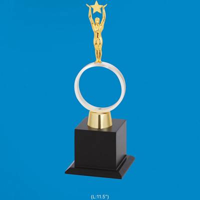 Metal Star Man Memento Trophy With Printed Pattern Rectangular Shape For Office 3854 Manufacturers in Ghaziabad