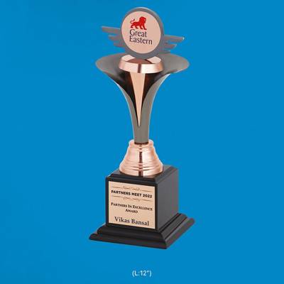 Partners Meet Metal Trophy Awards Brass Zinc Alloy Bronze With Printed Design For Corporate Events 3861 Manufacturers in Ghaziabad