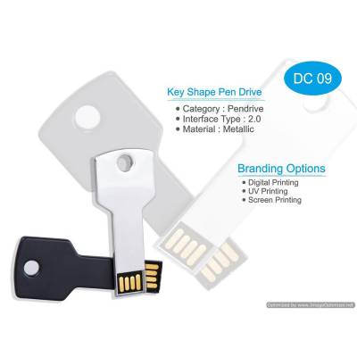 Premium Key Shape Silver Metal Pendrive Standard USB for Office and Promotional Gifts Manufacturers in Chandigarh