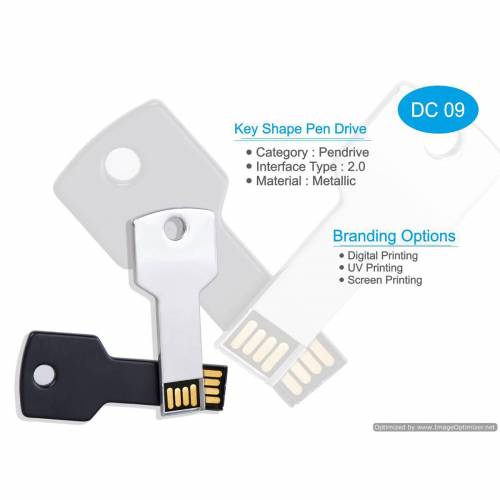 Premium Key Shape Silver Metal Pendrive Standard USB for Office and Promotional Gifts Manufacturers in Delhi