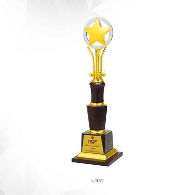Premium Metal Corporate Award Trophy Black And Golden For Corporate Events 3876 Manufacturers in Ghaziabad