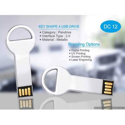 Premium Silver Metal Key Shape Pendrive Ideal for Office and Home Manufacturers in Chandigarh