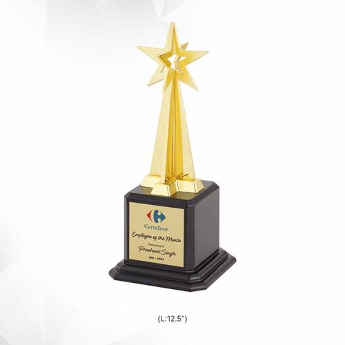 Star Trophy Golden Metal Plain Design Trophy for Award 3938 Manufacturers in Delhi
