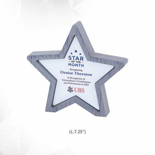 Star Trophy Silver Metal And Wood With Star Shape And Printed Design For Winning Awards 3927 Manufacturers in Delhi